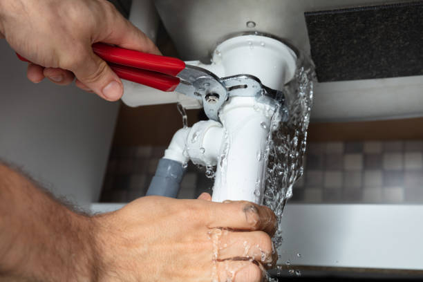 Best Flood damage cleanup  in Golden Meadow, LA