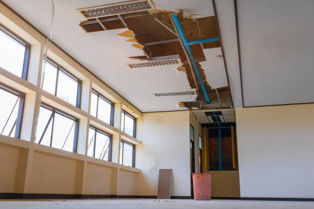 Best Water damage cleanup near me  in Golden Meadow, LA