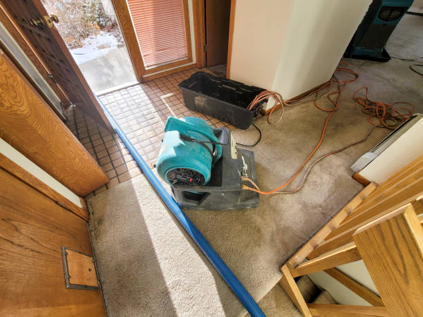 Best Carpet water damage restoration  in Golden Meadow, LA