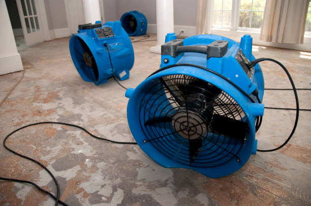Best Fire Damage Restoration  in Golden Meadow, LA
