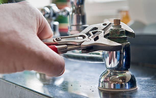 Best Professional water damage repair  in Golden Meadow, LA