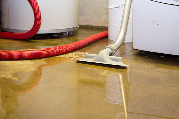 Best Water damage restoration near me  in Golden Meadow, LA