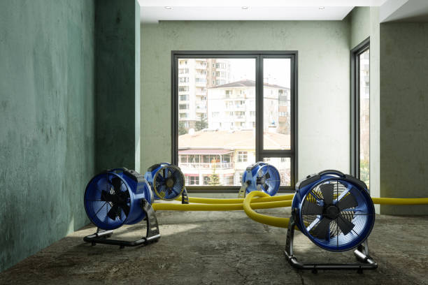 Best 24/7 water damage repair  in Golden Meadow, LA